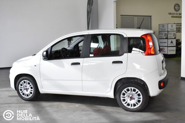 Fiat Panda 1.0 GSE S&S Hybrid Easy Van 4 posti - foto 3 di 4