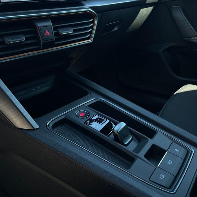 CUPRA Formentor 2.0 TDI DSG 4Drive 110KW/150CV, del 2022, 100.601 km, in vendita a Polla (SA)