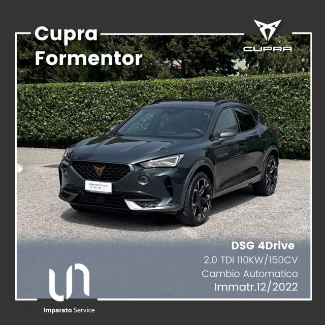 CUPRA Formentor 2.0 TDI 4Drive DSG usato a POLLA