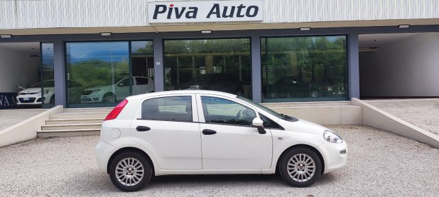 Fiat Punto 1.3 MJT II S&S 95 CV VAN AUTOCARRO usato a FONTE