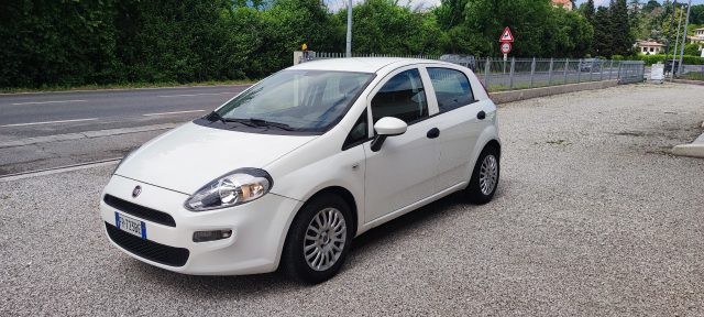 Fiat Punto 1.3 MJT II S&S 95 CV VAN AUTOCARRO - foto 4 di 4