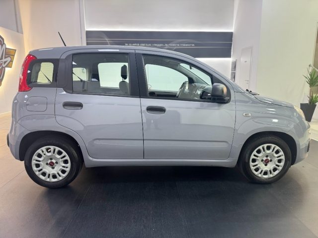 Fiat Panda 1.0 FireFly S&S Hybrid Easy - foto 4 di 4