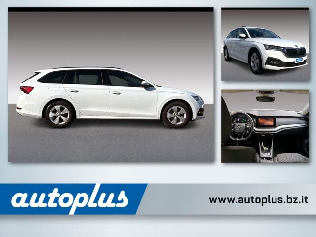 Skoda Octavia 2.0 TDI EVO SCR 150 CV DSG 4x4 Wagon Executive usato a APPIANO SULLA STRADA DEL VINO