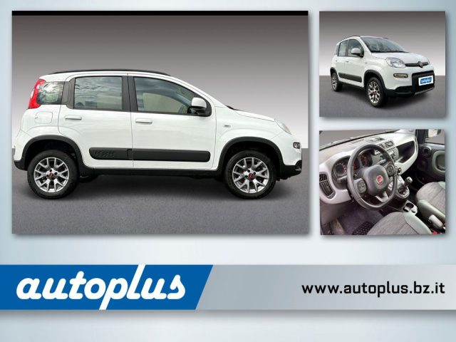 Fiat Panda 0,9 Twin Air 4x4 usato a APPIANO SULLA STRADA DEL VINO