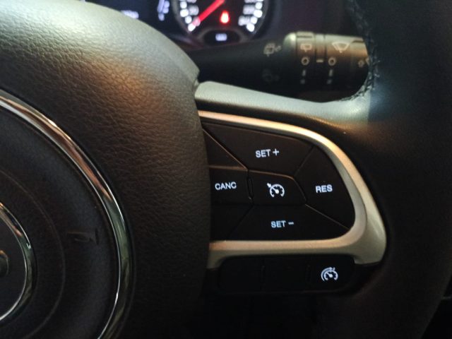 Jeep Renegade 2.0 Mjt 140CV 4WD Active Drive Longitude, del 2019, 114.000 km, in vendita a Potenza (PZ)