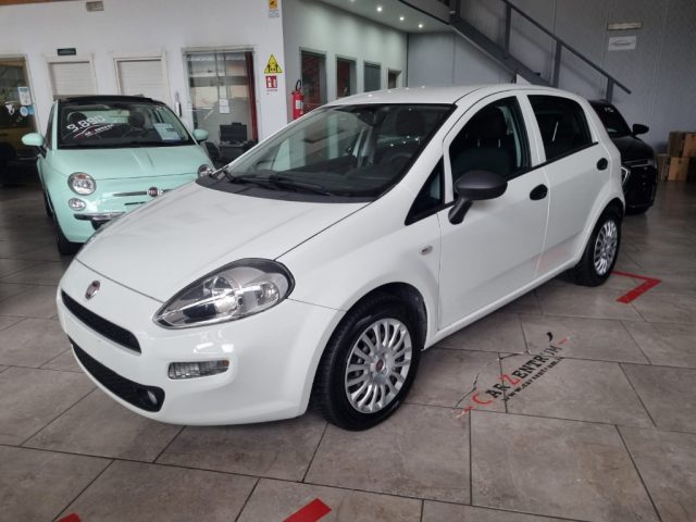 Fiat Punto 1.3 MJT 95CV S&S 5 porte Van 4 posti N1 usato a POTENZA