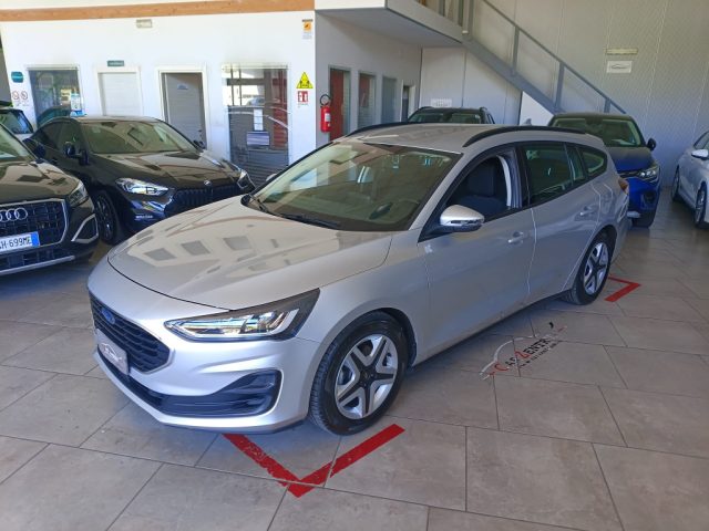 Ford Focus 1.5 EcoBlue 120 CV SW Business usato a POTENZA