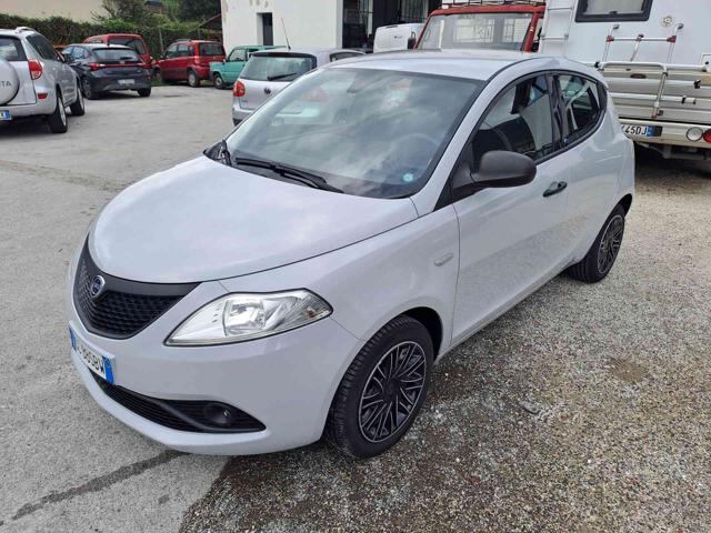 Lancia Ypsilon 1.2 69 CV 5 porte GPL Ecochic Elefantino Blu usato a BORGO A MOZZANO