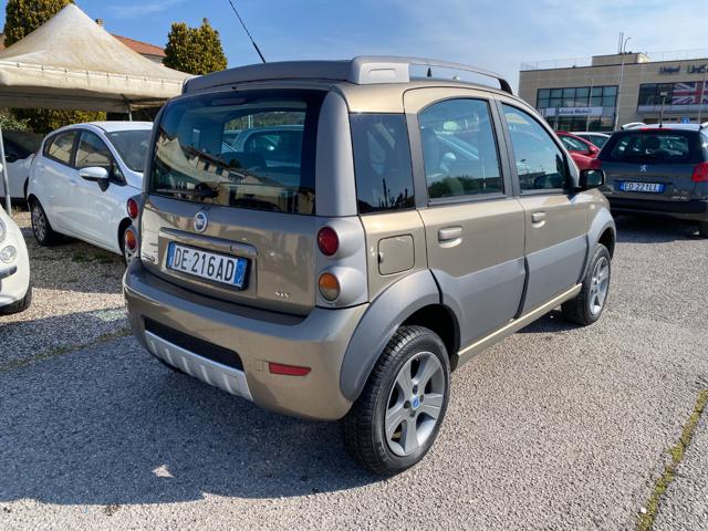 Fiat Panda 1.3 MJT 16V 4x4 Cross ELD usato a SINALUNGA