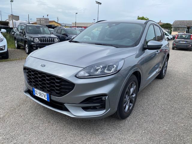 Ford Kuga 1.5 EcoBlue 120 CV 2WD ST-Line KM CERTIFICATI usato a SINALUNGA
