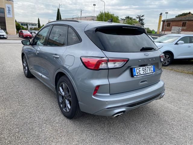 Ford Kuga 1.5 EcoBlue 120 CV 2WD ST-Line KM CERTIFICATI - foto 4 di 4