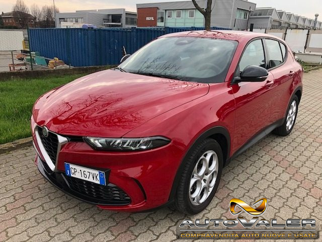 Alfa Romeo Tonale 1.6 diesel 130 CV TCT6 Super usato a RIVOLI