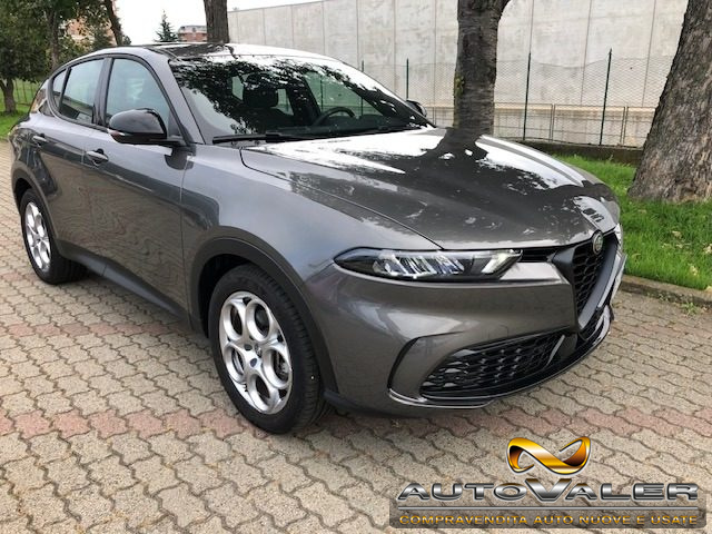 Alfa Romeo Tonale 1.5 130 CV MHEV TCT7 Sprint usato a RIVOLI