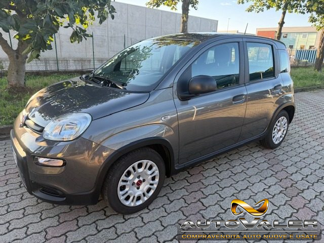 Fiat Panda 1.0 FireFly S&S Hybrid usato a RIVOLI