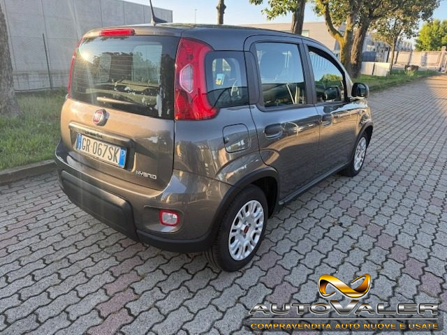 Fiat Panda 1.0 FireFly S&S Hybrid - foto 3 di 4