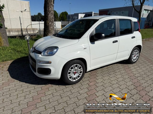 Fiat Panda 1.0 FireFly S&S Hybrid Apple CarPlay usato a RIVOLI