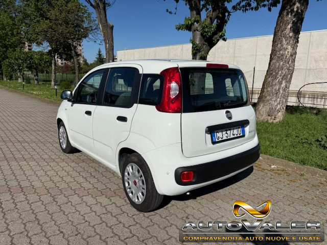 Fiat Panda 1.0 FireFly S&S Hybrid Apple CarPlay - foto 4 di 4