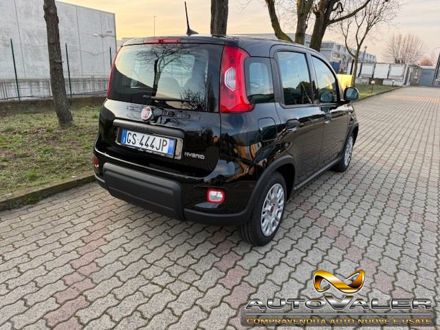 Fiat Panda 1.0 FireFly S&S Hybrid,Bluetooth - foto 2 di 4