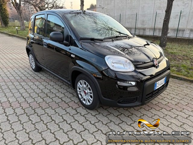 Fiat Panda 1.0 FireFly S&S Hybrid,Bluetooth usato a RIVOLI