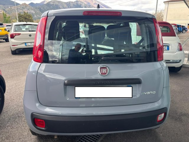 Fiat Panda 1.0 FireFly S&S Hybrid - foto 2 di 4