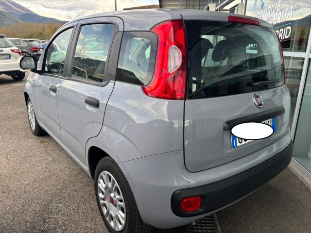 Fiat Panda 1.0 FireFly S&S Hybrid - foto 4 di 4