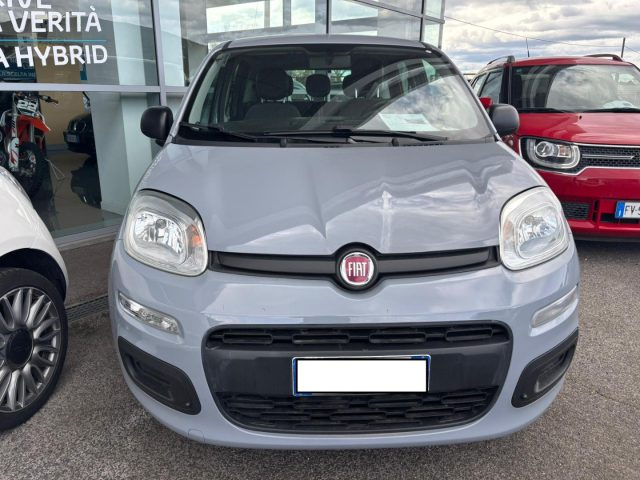 Fiat Panda 1.0 FireFly S&S Hybrid usato a CASSINO