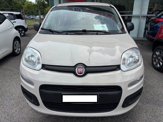 Fiat Panda 1.2 Easy usato a CASSINO