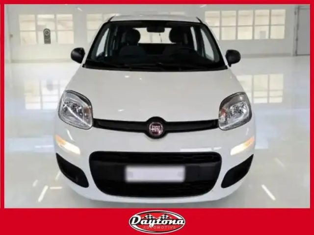 Fiat Panda 1.0 FireFly S&S Hybrid City Life usato a CASSINO