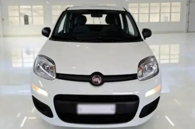 Fiat Panda 1.0 FireFly S&S Hybrid City Life usato a CASSINO