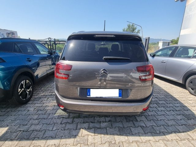Citroen C4 SpaceTourer BlueHDi 160 S&S EAT8 Business - foto 4 di 4