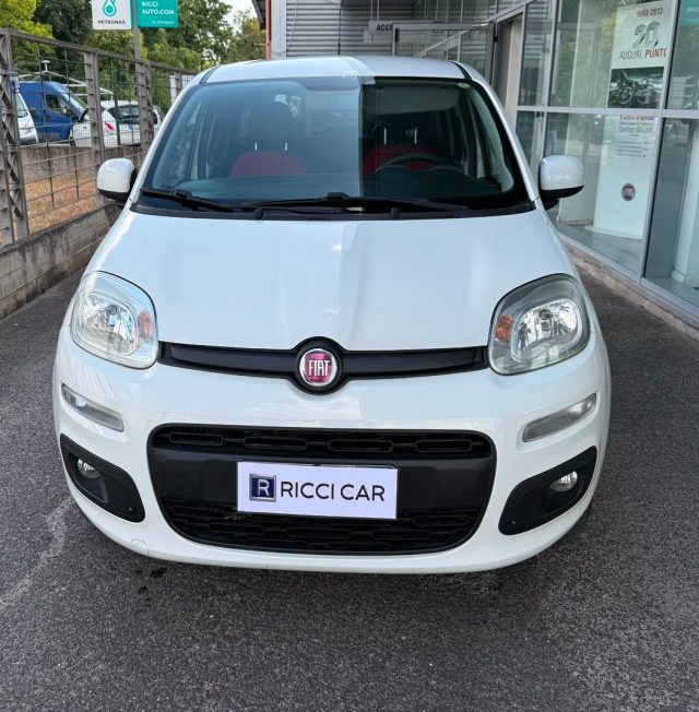 Fiat Panda 1.3 MJT 80 CV S&S 4x4 usato a CASSINO