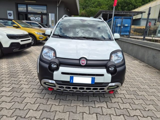 Fiat Panda Cross 1.0 FireFly S&S Hybrid usato a CASSINO
