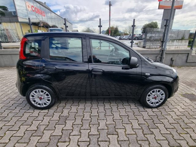 Fiat Panda 1.0 FireFly S&S Hybrid, del 2022, 78.374 km, in vendita a Cassino (RM)
