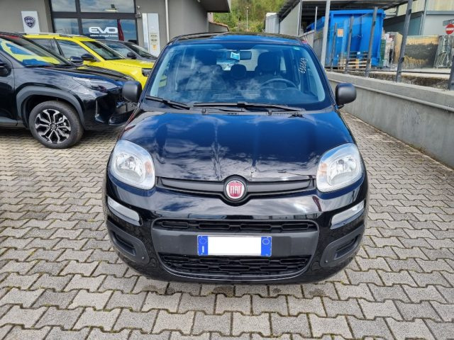 Fiat Panda 1.0 FireFly S&S Hybrid usato a CASSINO