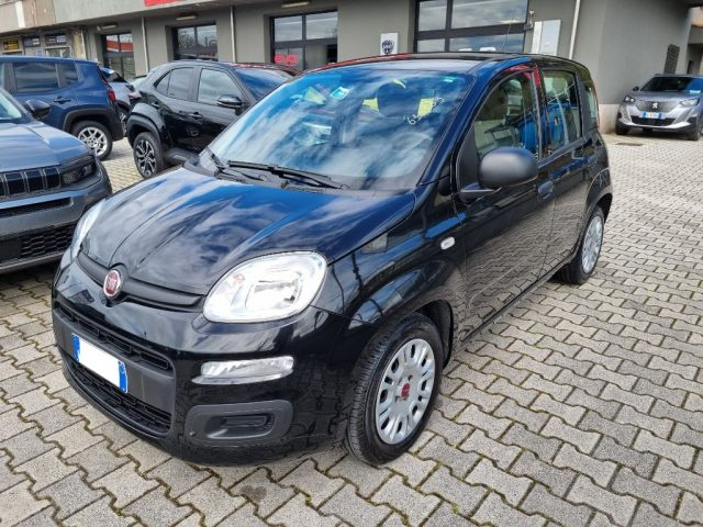 Fiat Panda 1.0 FireFly S&S Hybrid usato a CASSINO