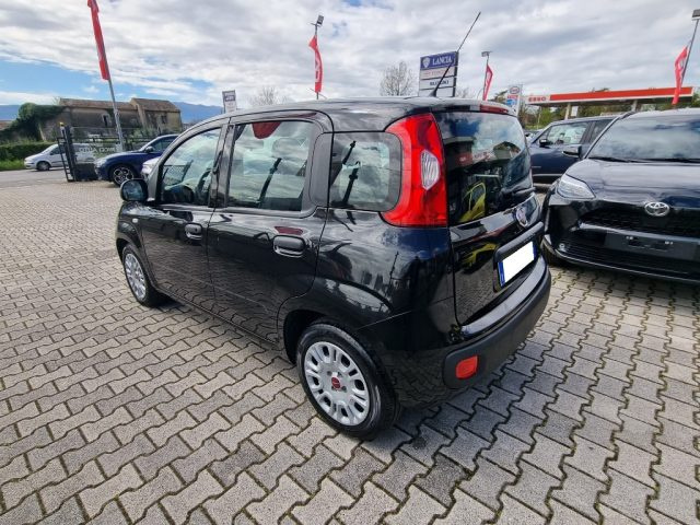 Fiat Panda 1.0 FireFly S&S Hybrid - foto 4 di 12