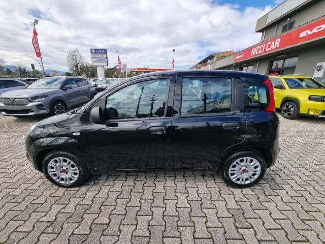 Fiat Panda 1.0 FireFly S&S Hybrid usato a CASSINO