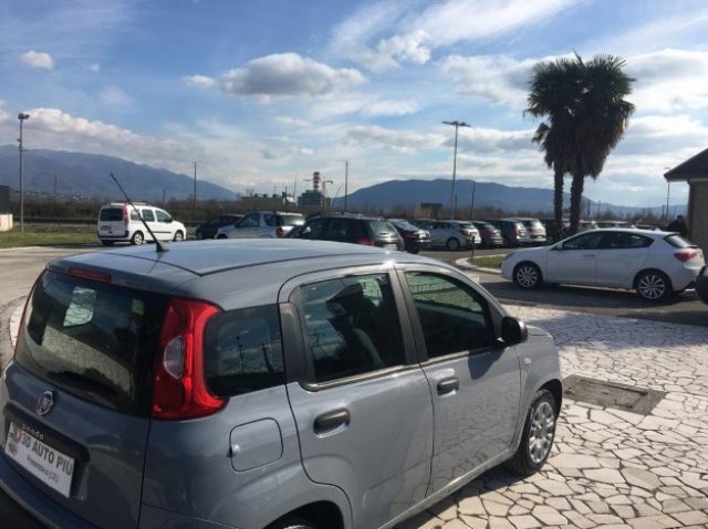 Fiat Panda III1.3MJT16vEasy ConsegnaImmediata-Mini Rata-0Ant! usato a PRESENZANO