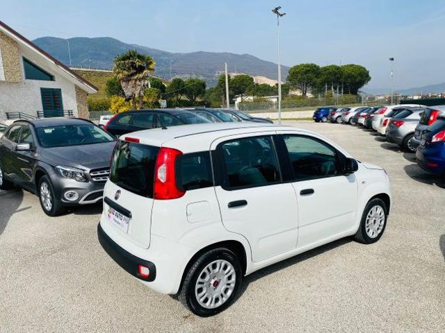Fiat Panda 1.2 EasyPower GPL 69cv CONDIZIONI AMMIREVOLI/ANT 0 usato a PRESENZANO