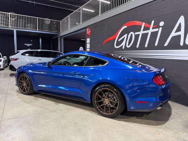 Ford Mustang RESTYLING FASTBACK 2.3 TARGATA CARBONIO JAPAN RACE - foto 4 di 4