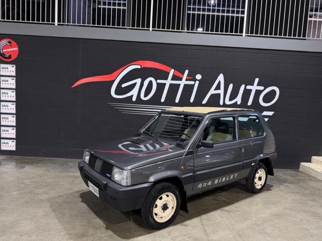 Fiat Panda 1 SERIE 4X4 37KW VERA SISLEY usato a SAN PAOLO D ARGON