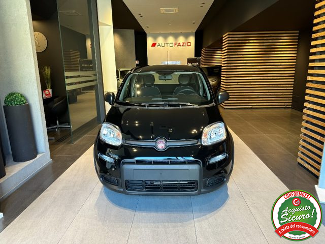 Fiat Panda 1.0 FireFly S&S Hybrid nuovo a SANTA MARIA DI LICODIA