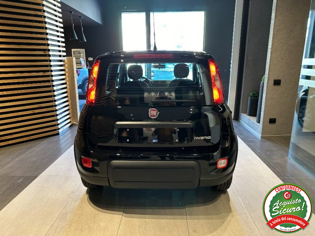 Fiat Panda 1.0 FireFly S&S Hybrid nuovo a SANTA MARIA DI LICODIA