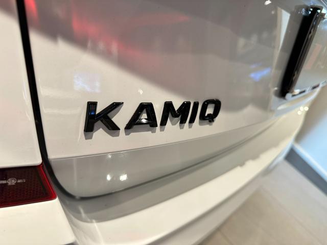 Skoda Kamiq 1.0 TSI 110 CV Black Dots usato a SANTA MARIA DI LICODIA