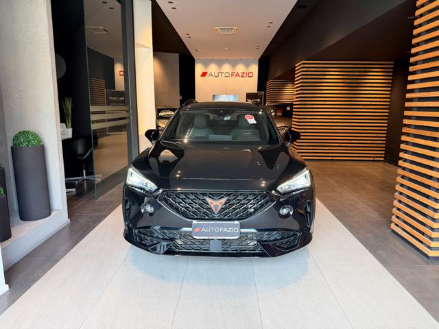 CUPRA Formentor 2.0 TDI 4Drive DSG usato a SANTA MARIA DI LICODIA