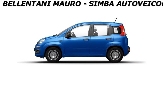 Fiat Panda 1.0 FireFly S&S Hybrid Icon - foto 3 di 4