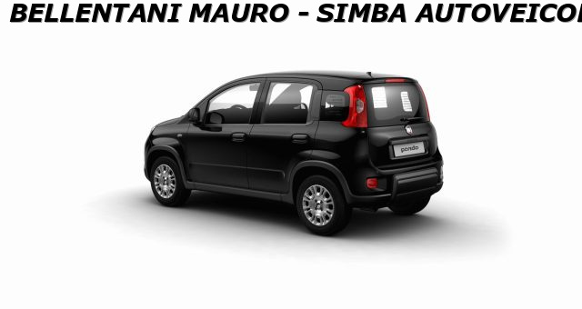 Fiat Panda 1.0 FireFly S&S Hybrid GPL - foto 2 di 4