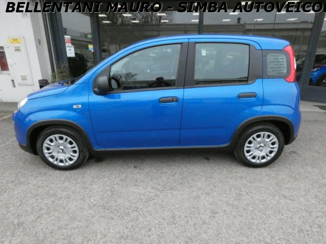 Fiat Panda 1.0 FireFly S&S Hybrid - foto 4 di 4