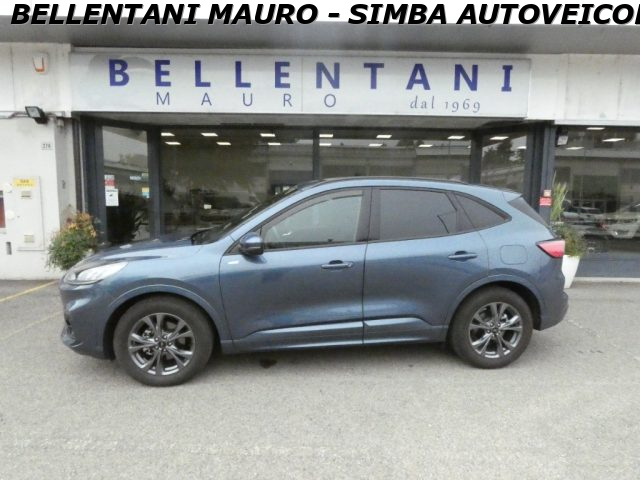 Ford Kuga 2.0 EcoBlue 120 CV aut. 2WD ST-Line usato a MODENA
