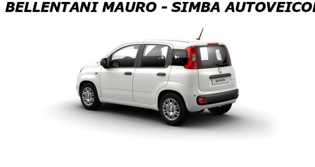 Fiat Panda 1.0 FireFly S&S Hybrid Icon - foto 2 di 4